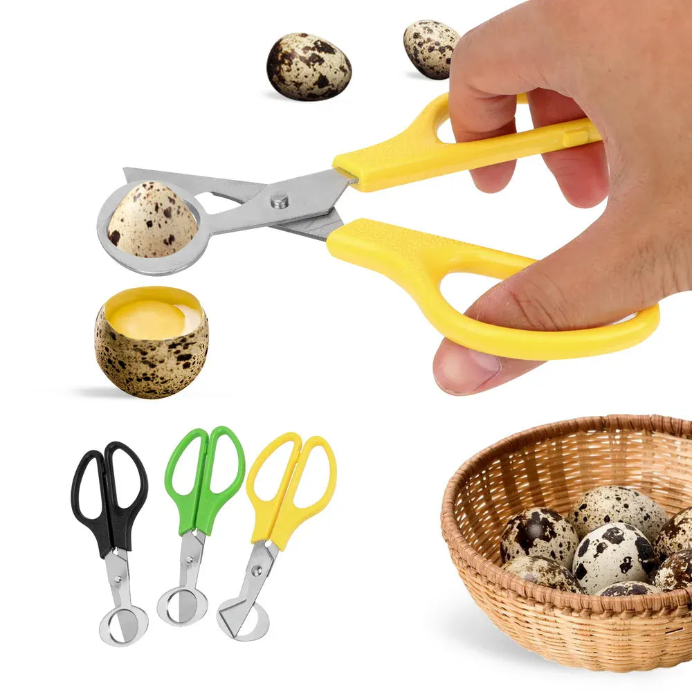 Ciseaux à Oeufs de Caille Inox Multifonctions - Lot de 3 Pièces ciseaux
