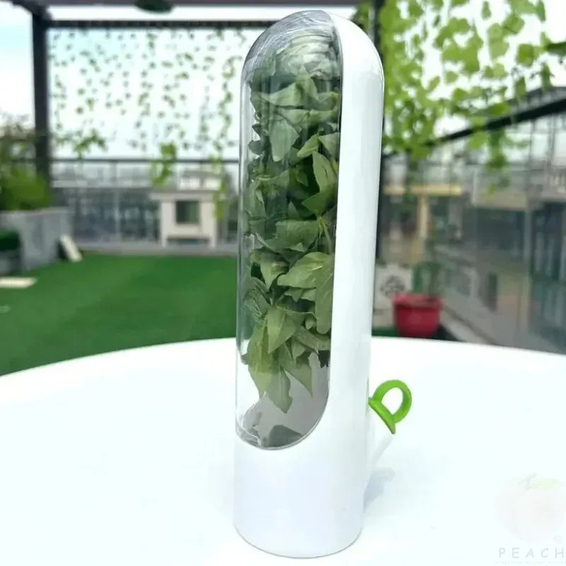 Boîte Hermétique 3 Pièces pour Conservation Légumes Frais