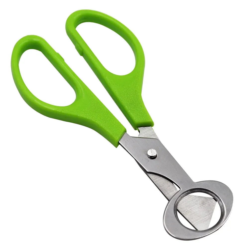 Ciseaux à œufs en inox 10 pièces pour couper les œufs de caille ciseaux