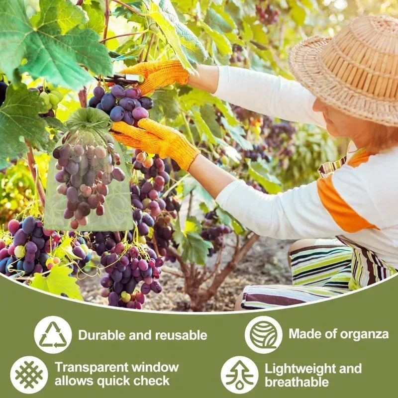 Sacs Filet Réutilisables - Lot de 200 Protection Insectes