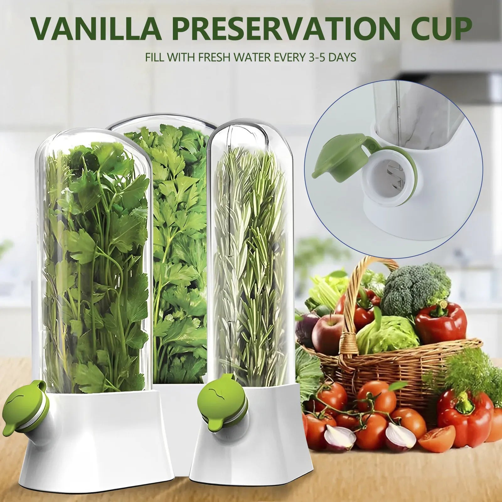Pot de Conservation Herbes Fraîches 500ml pour Réfrigérateur