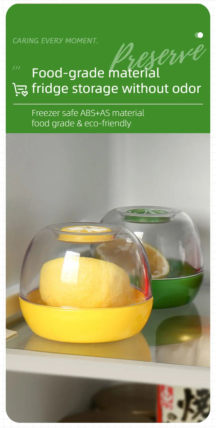 Boîte Hermétique de Conservation Fruits et Légumes 500ml