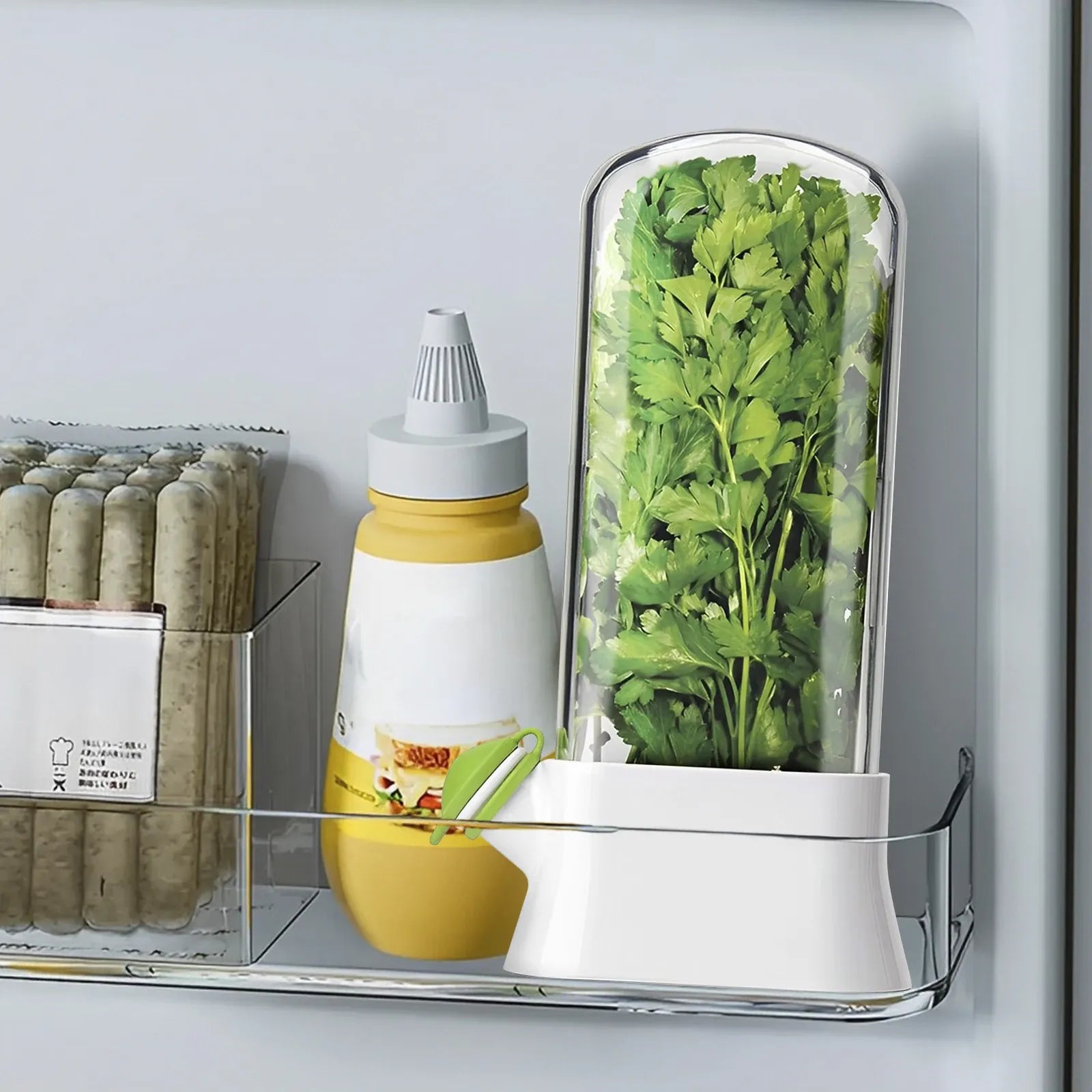 Pot de Conservation Herbes Fraîches 500ml pour Réfrigérateur