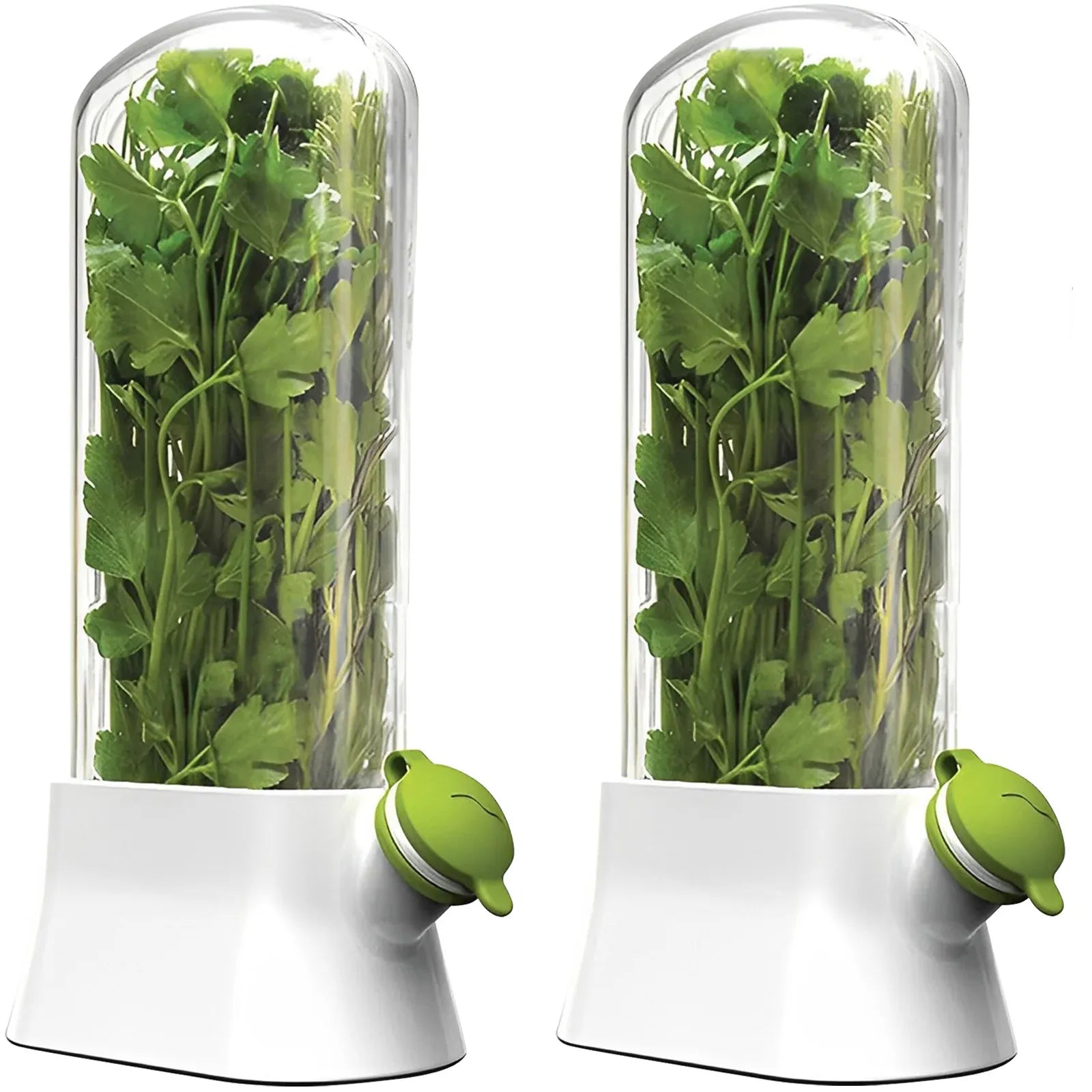 Pot de Conservation Herbes Fraîches 500ml pour Réfrigérateur