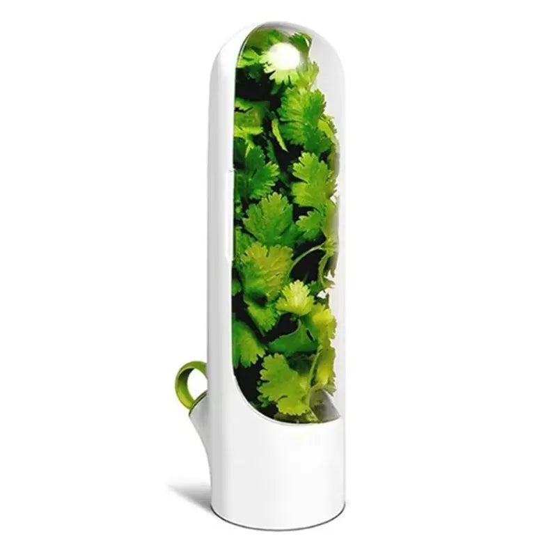 Boîte Hermétique 3 Pièces pour Conservation Légumes Frais