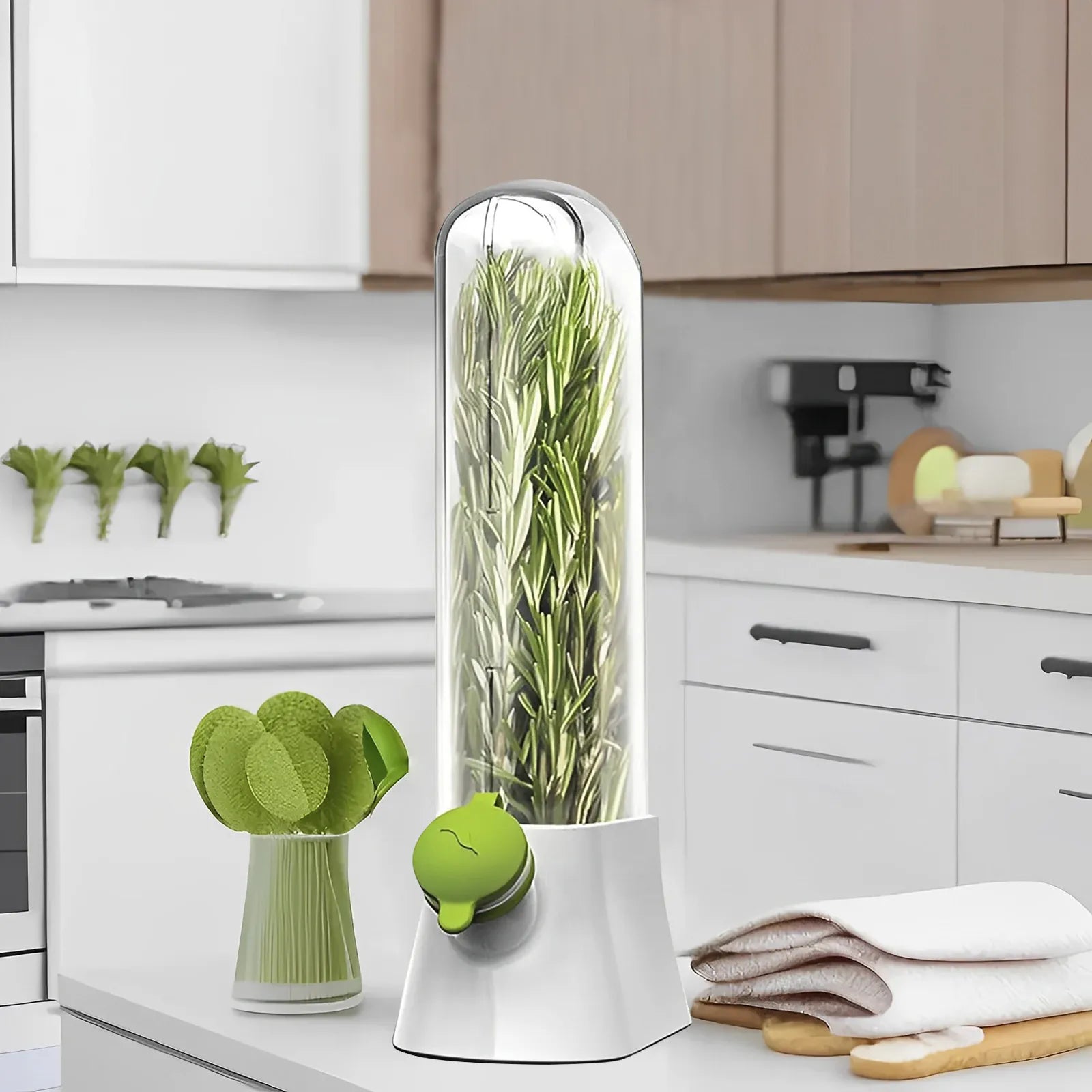Pot de Conservation Herbes Fraîches 500ml pour Réfrigérateur