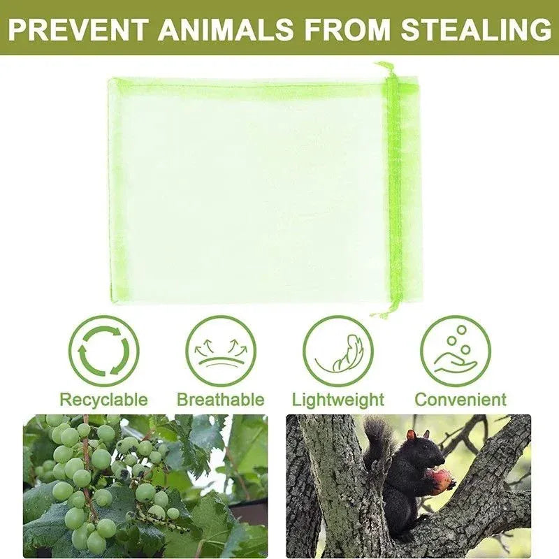 Sacs Filet Réutilisables - Lot de 200 Protection Insectes