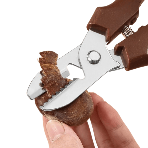 Ciseaux de cuisine multifonctions en acier pour éplucher châtaignes ciseaux