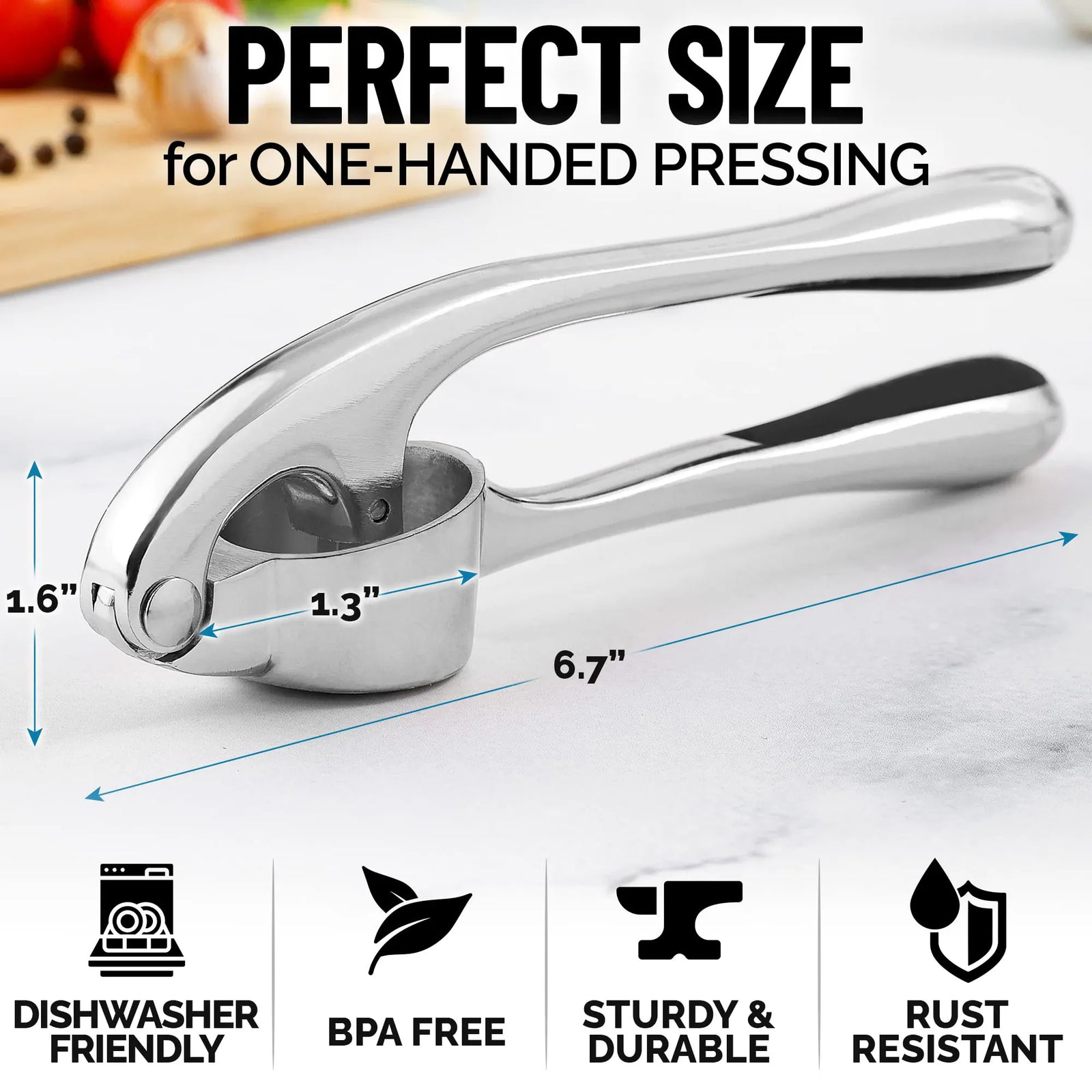 Presse-Ail Inox Manuel avec Éplucheur et Nettoyeur Inclus presseail