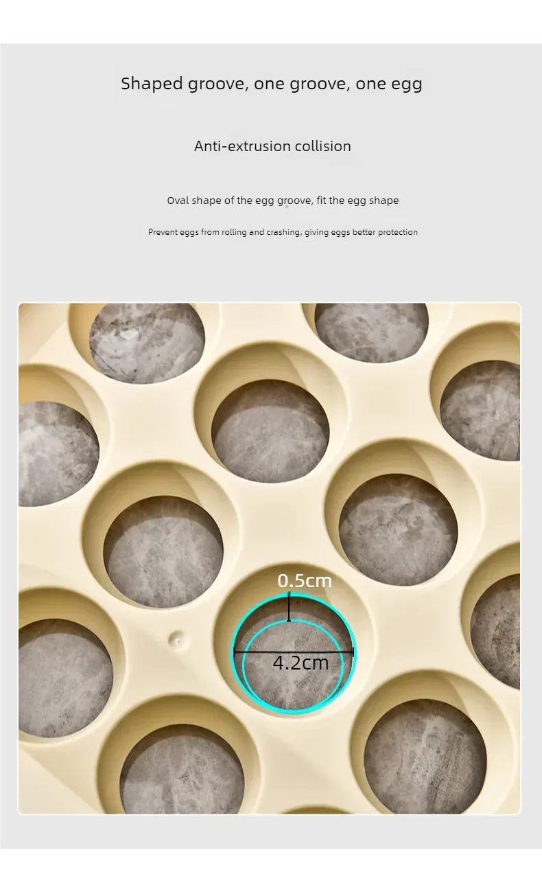 Organiseur de Rangement Frigo pour 32 Œufs | Double Couche