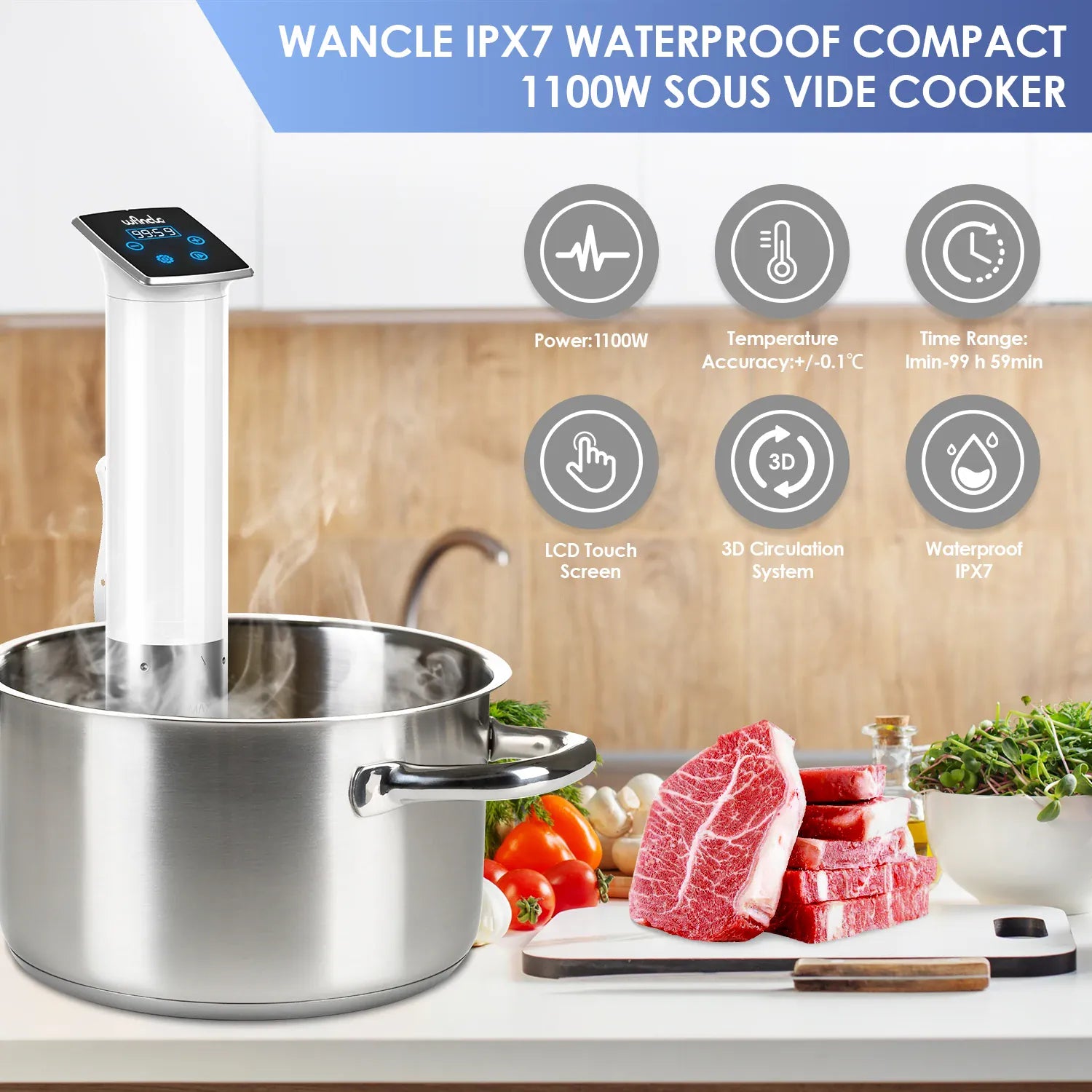 Cuiseur Sous Vide à Immersion 1100W Étanche avec Affichage LED sv