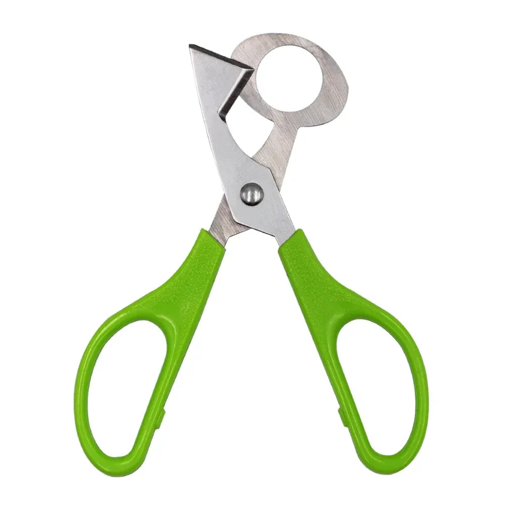 Ciseaux à œufs en inox 10 pièces pour couper les œufs de caille ciseaux