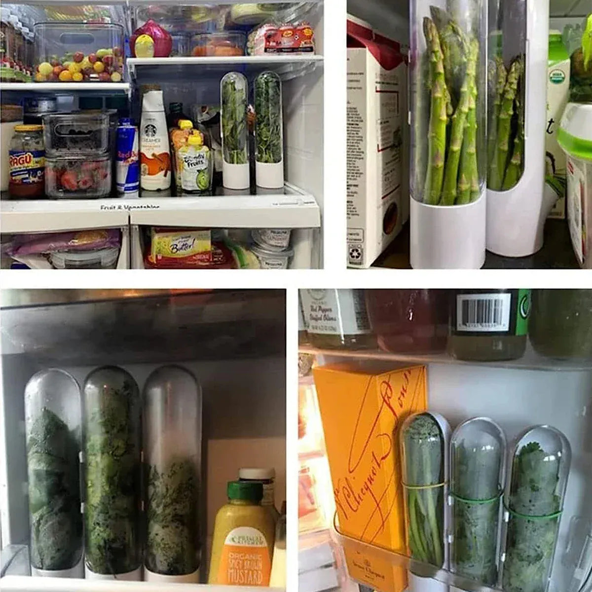 Boîte Hermétique 3 Pièces pour Conservation Légumes Frais