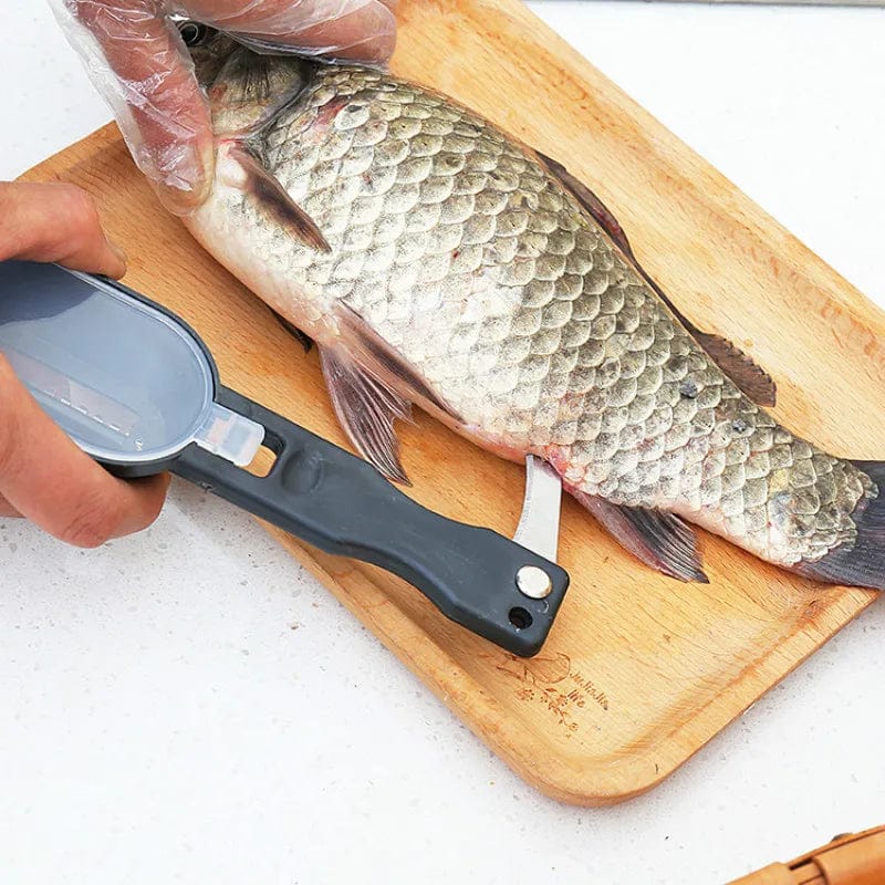 Brosse à Écailler le Poisson écailleur de poisson