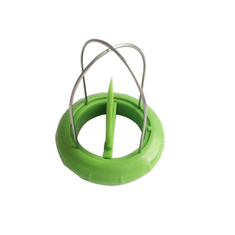 Coupe Kiwi Coupe Fruits