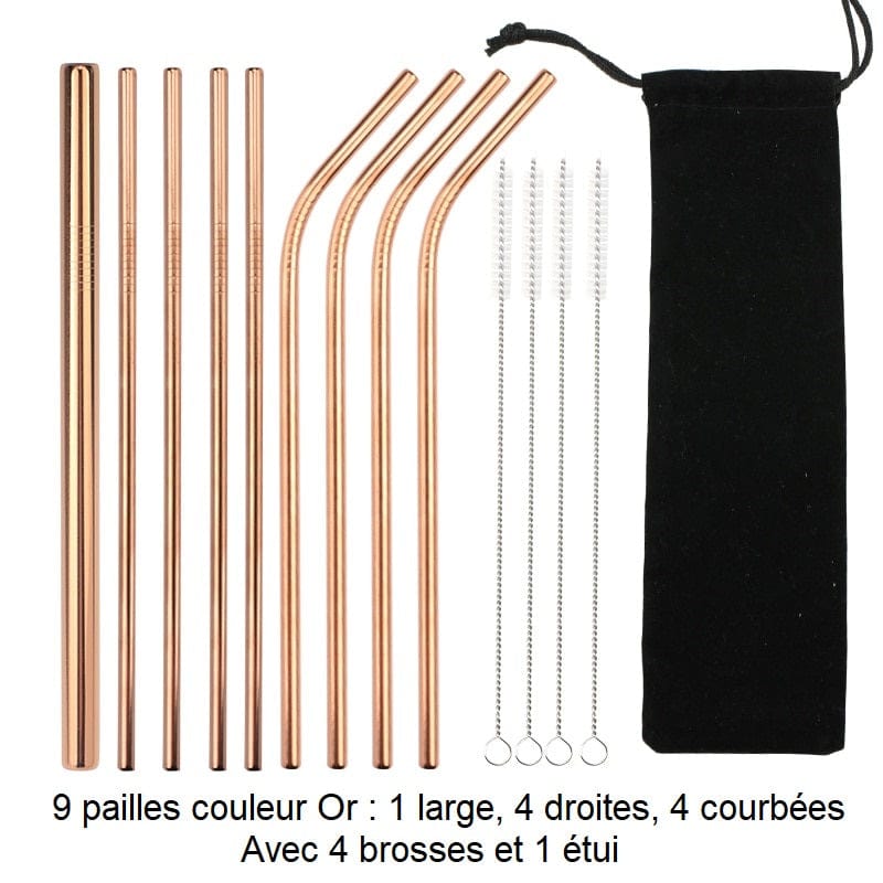 Pailles réutilisables en inox 100003054