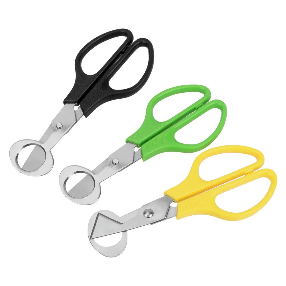 Ciseaux à Oeufs de Caille Inox Multifonctions - Lot de 3 Pièces ciseaux