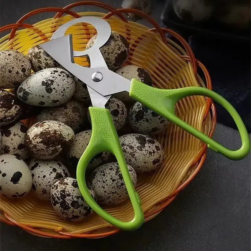 Ciseaux à œufs de caille en inox avec poignée ergonomique ciseaux