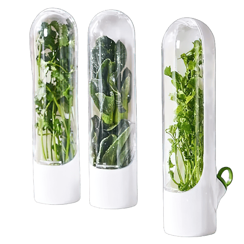 Boîte Hermétique 3 Pièces pour Conservation Légumes Frais