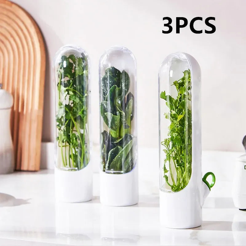 Boîte Hermétique 3 Pièces pour Conservation Légumes Frais