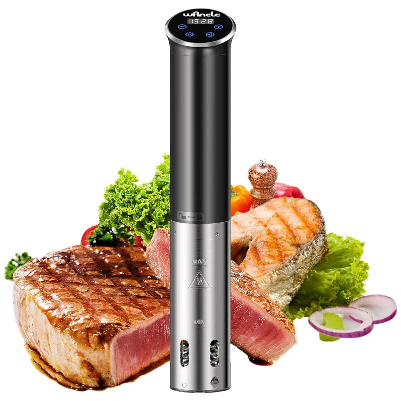 Cuiseur Sous Vide à Immersion 1100W IPX7 Écran Tactile Précision ±0,1 °C sv