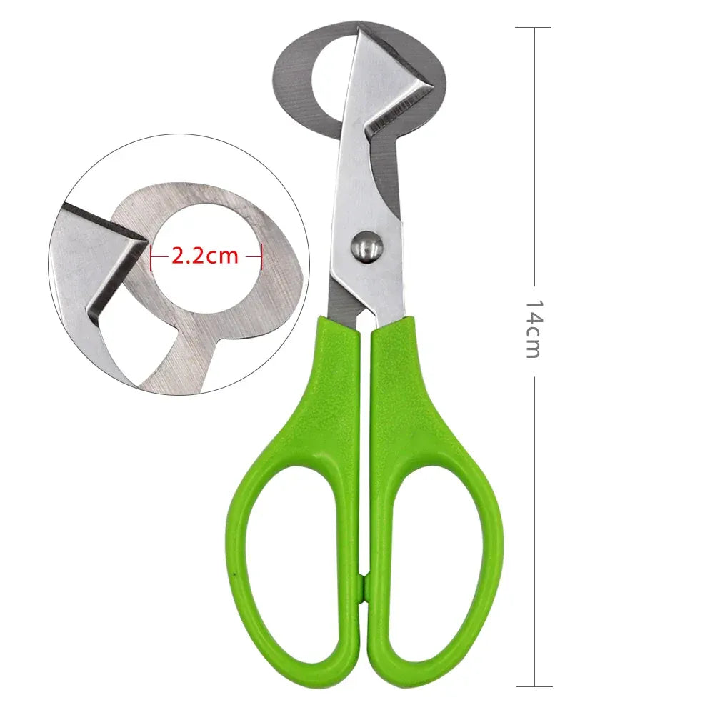 Ciseaux à œufs en inox 10 pièces pour couper les œufs de caille ciseaux