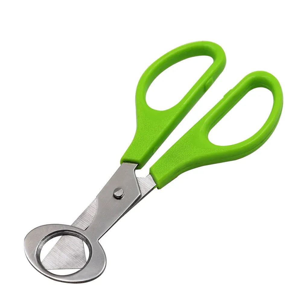 Ciseaux à œufs en inox 10 pièces pour couper les œufs de caille ciseaux