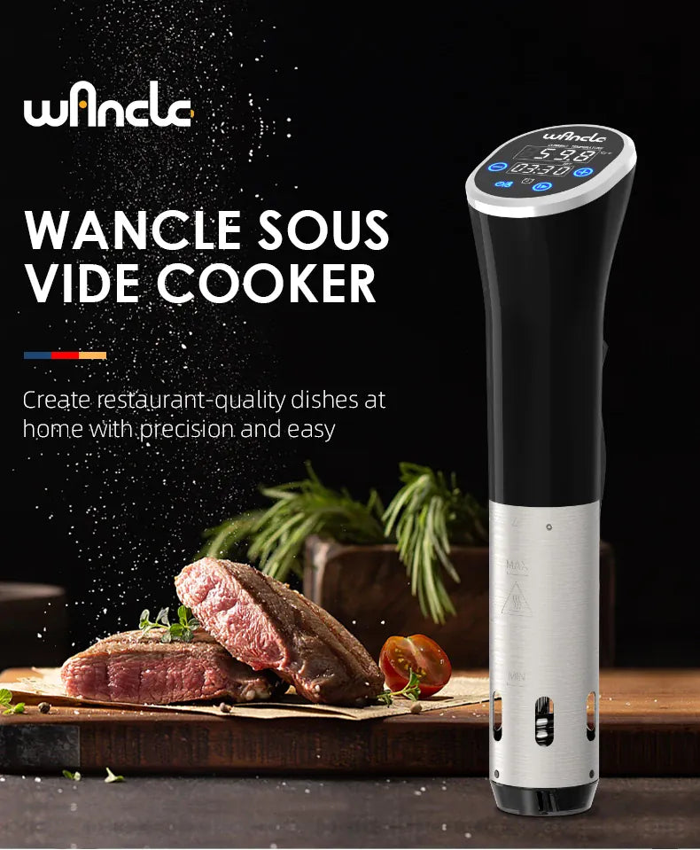 Cuiseur Sous Vide à Immersion 1100W Écran LCD Étanche IPX7 sv