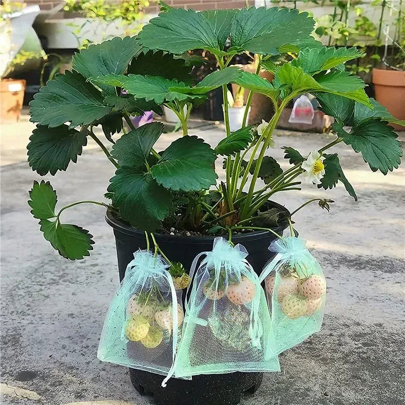 Sacs Filet Réutilisables - Lot de 200 Protection Insectes