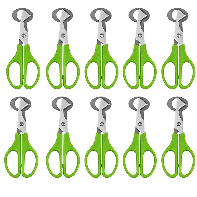 Ciseaux à œufs en inox 10 pièces pour couper les œufs de caille ciseaux