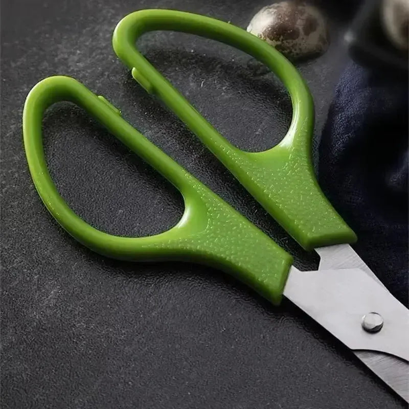 Ciseaux à œufs de caille en inox avec poignée ergonomique ciseaux