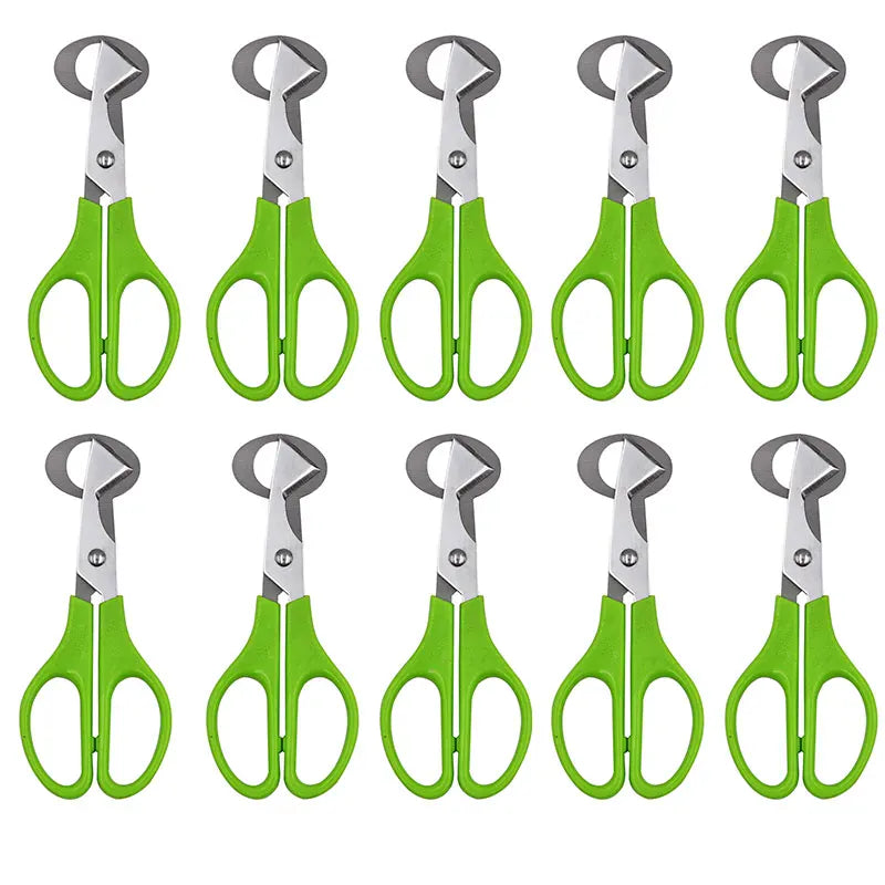 Ciseaux à œufs en inox 10 pièces pour couper les œufs de caille ciseaux