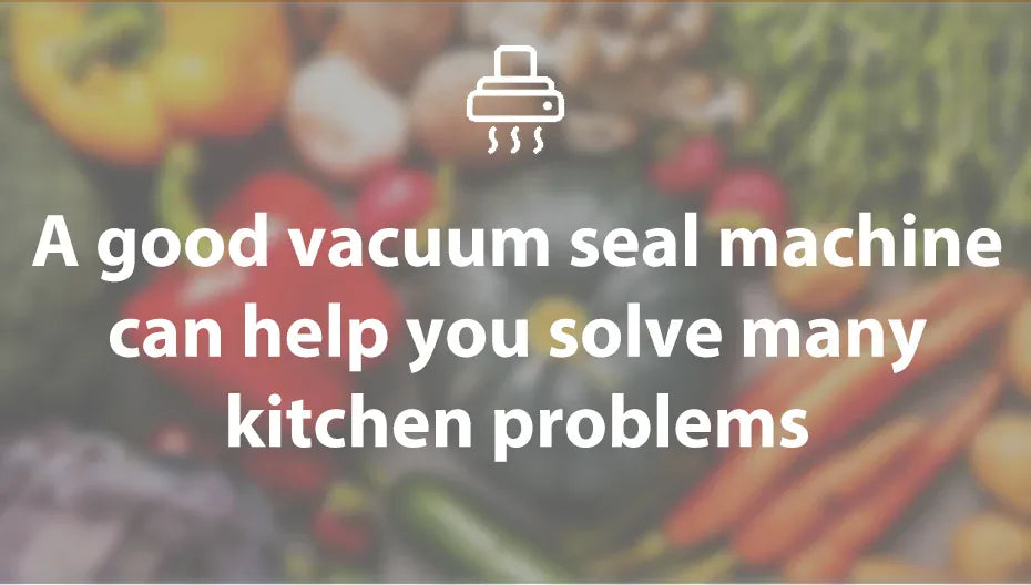 Machine Sous Vide Alimentaire avec 10 Sacs Inclus - Pratique et Efficace sv