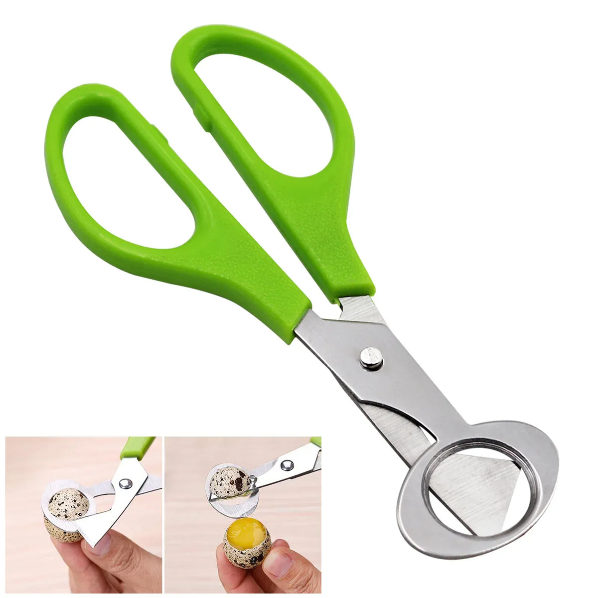 Ciseaux à œufs en inox 10 pièces pour couper les œufs de caille ciseaux