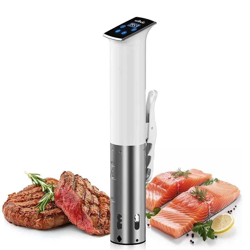 Cuiseur Sous Vide à Immersion 1100W Étanche avec Affichage LED sv