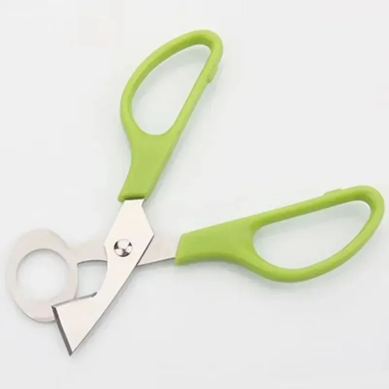 Ciseaux à œufs de caille en inox avec poignée ergonomique ciseaux