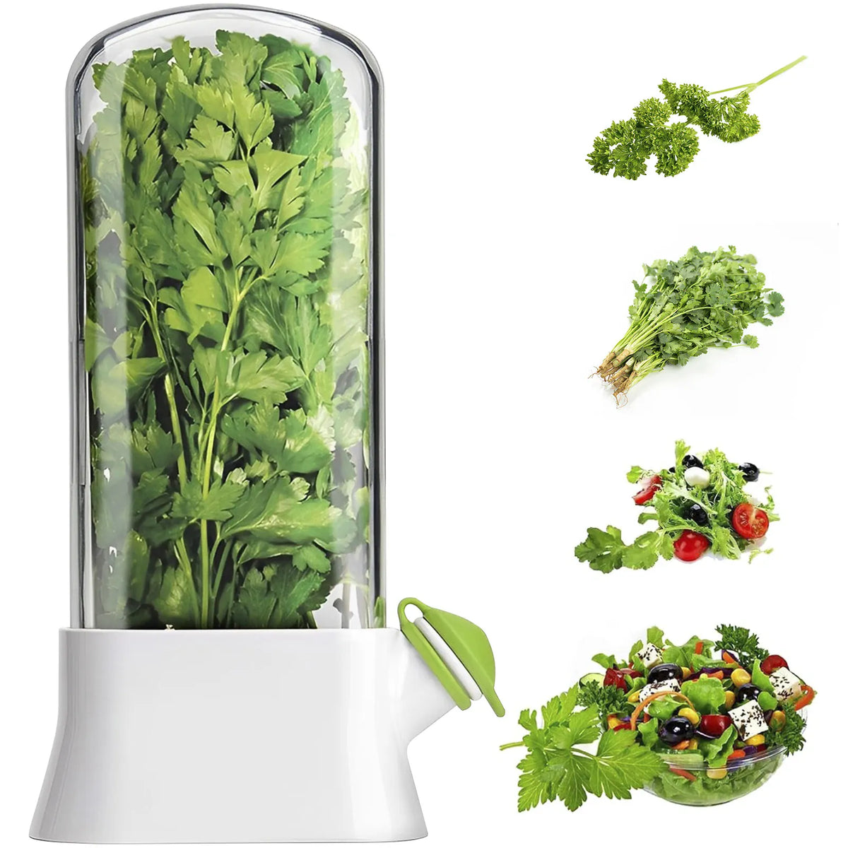 Pot de Conservation Herbes Fraîches 500ml pour Réfrigérateur