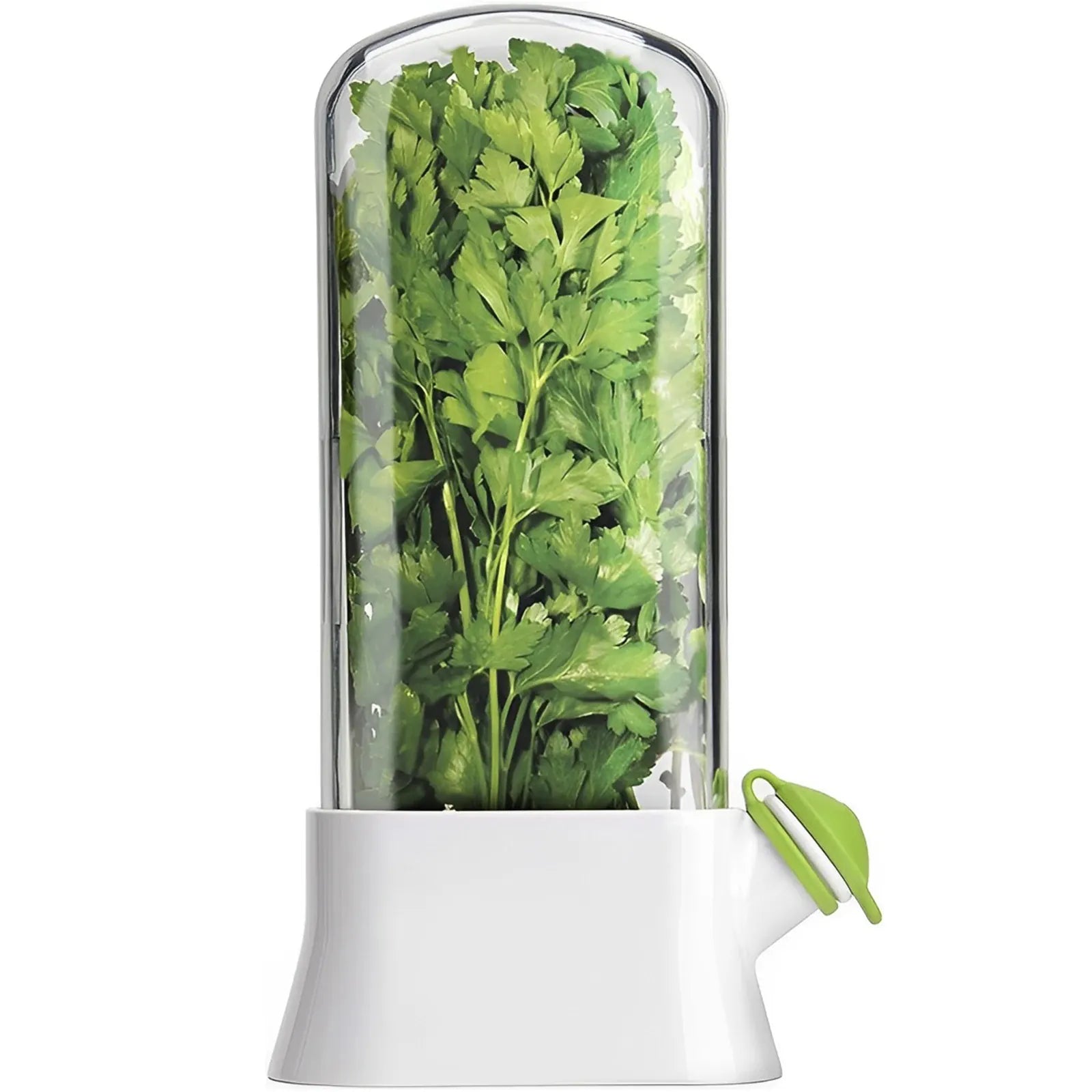 Pot de Conservation Herbes Fraîches 500ml pour Réfrigérateur