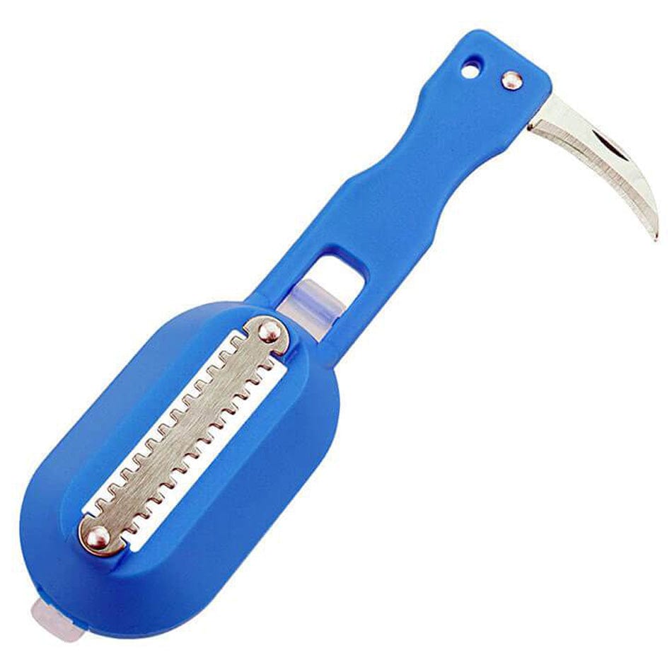 Brosse à Écailler le Poisson écailleur de poisson