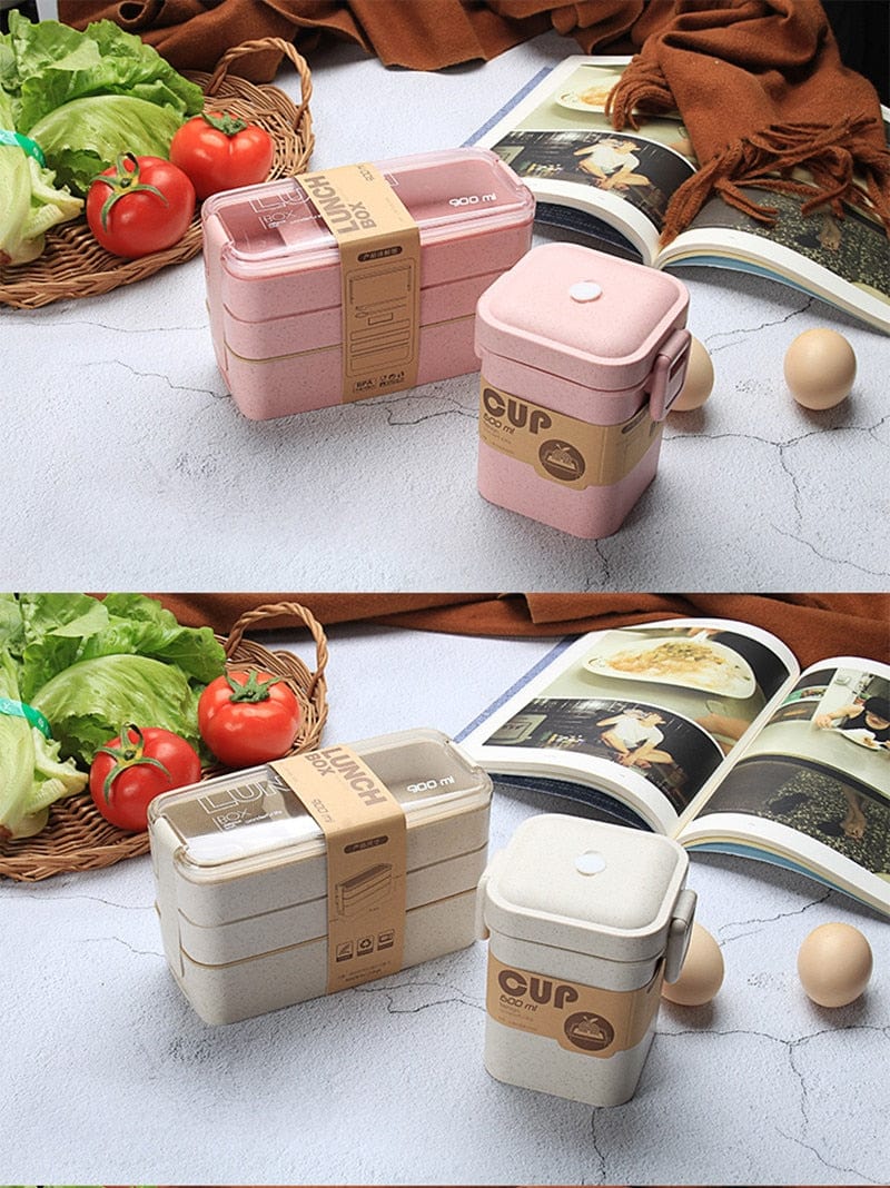 LunchBox Japonaise Multi-Compartiments avec Verre à Soupe Lunchbox