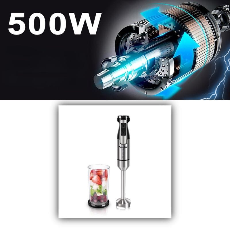 Mixeur Plongeant Professionnel (500W) Mixeur Plongeant