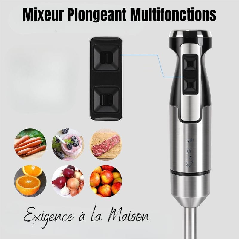 Mixeur Plongeant Professionnel (500W) Mixeur Plongeant